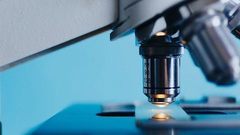 Linkam Showcases New Liquid Cell for Its Modular Force Stage