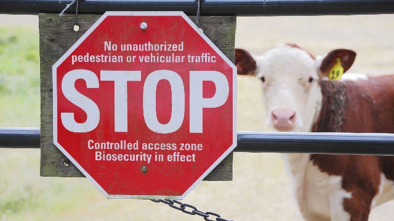 Biosecurity – From the Horse’s Mouth