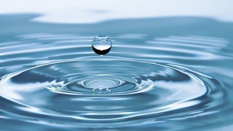 Hazardous Fluoride Detected in Drinking Water Using Synthetic Biology