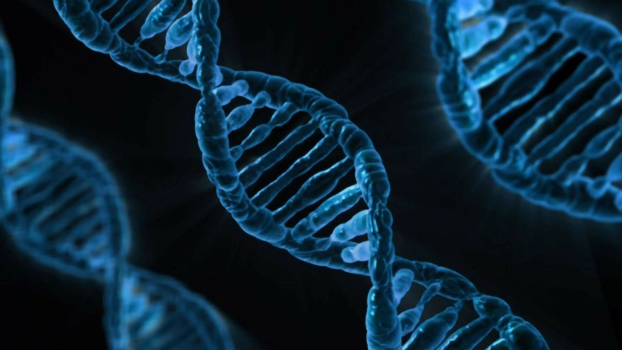 Mother Nature's Gift: A Novel Gene Therapy