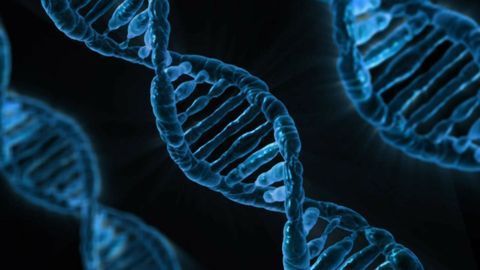 Mother Nature's Gift: A Novel Gene Therapy