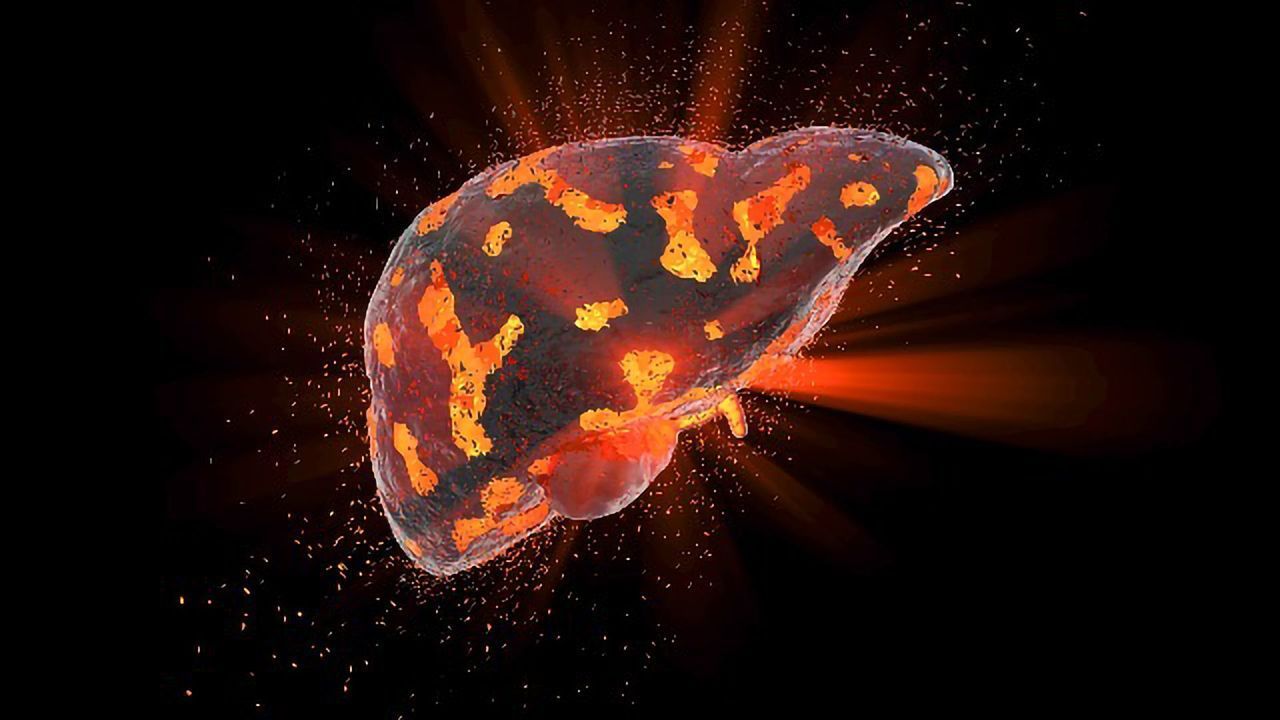 Functional "Mini-liver" Created by 3D Bioprinting