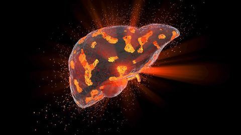 Functional "Mini-liver" Created by 3D Bioprinting