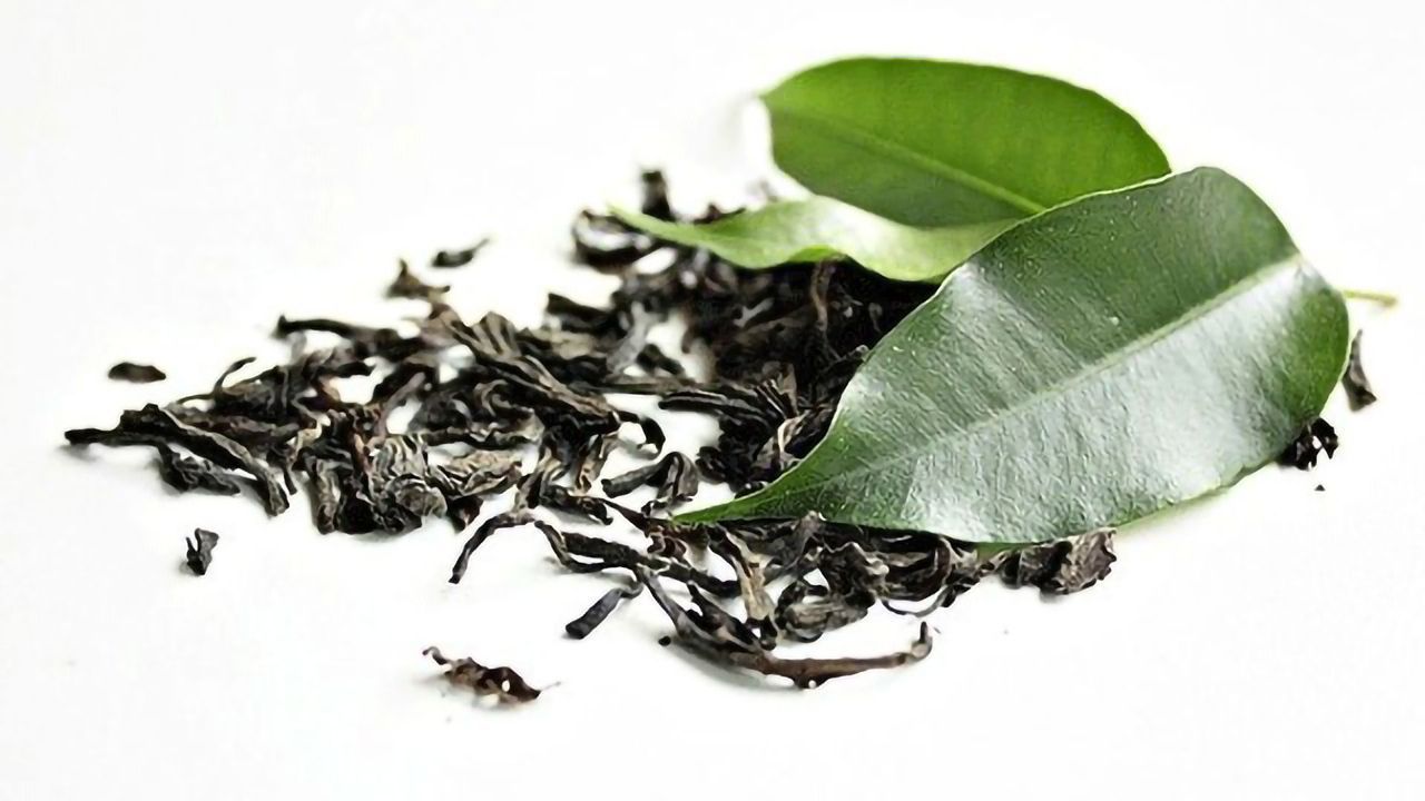 Antioxidant Found in Green Tea Plant May Help Tackle Tuberculosis