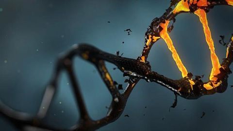 Test Detects Potentially Cancer-causing DNA Damage