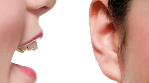 Revealing the Neural Basis of Confirmation Bias