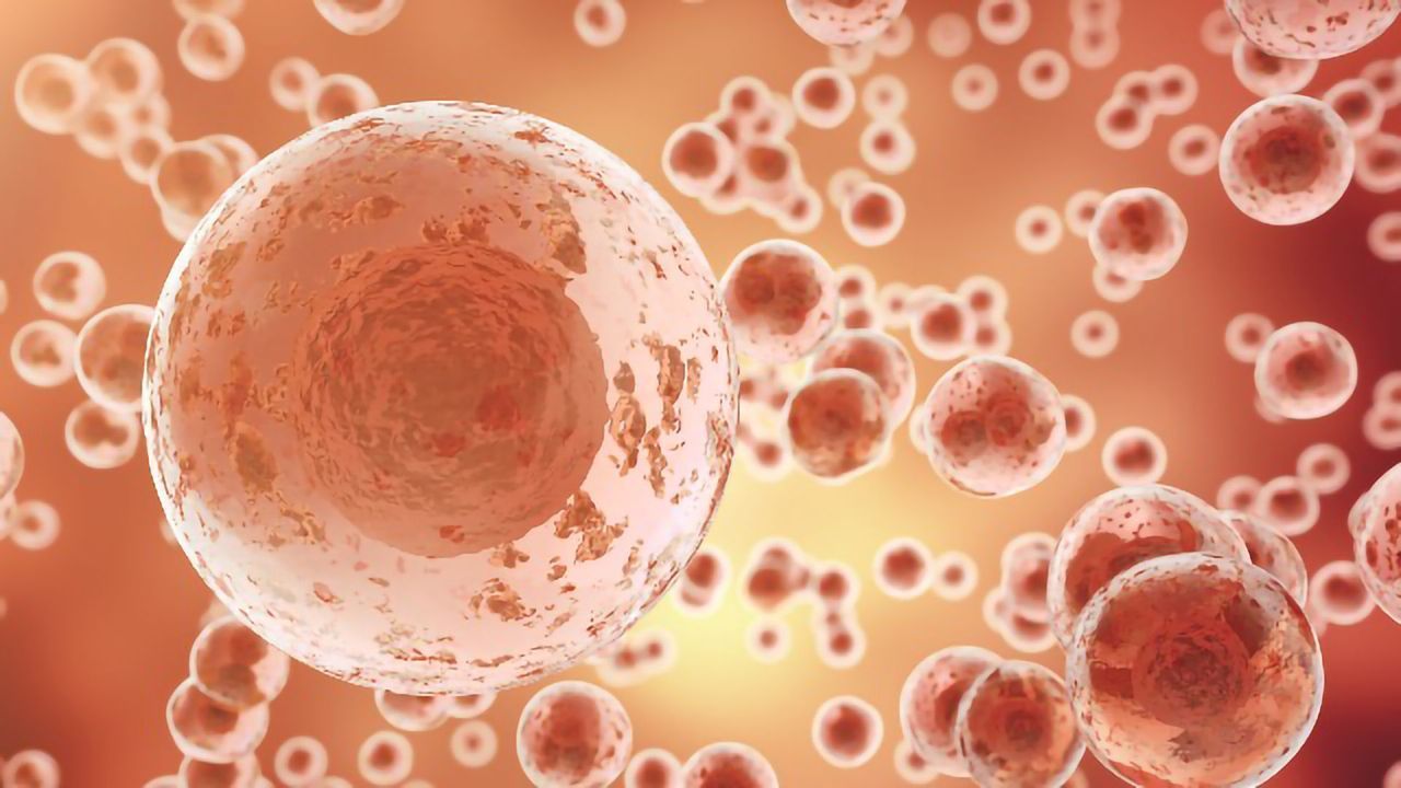 Realizing the of Potential “Bionic” Nanoparticles for Delivery to Live Cells