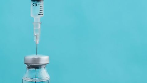 Funding Awarded For Yellow Fever Vaccine Development