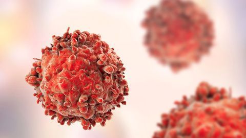 Collaborative to Fund Lung Cancer Immunotherapy Clinical Trial