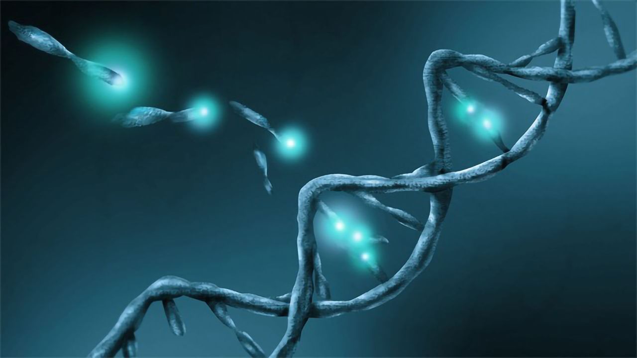 New Kit Aims For Efficient Isolation of Circulating Cell Free DNA