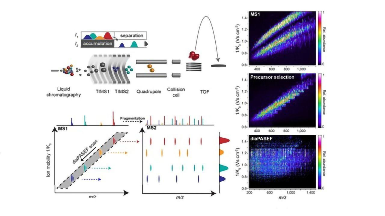 diaPASEF: Toward the Ideal Mass Analyzer with Data-Independent Acquisition and Parallel Accumulation