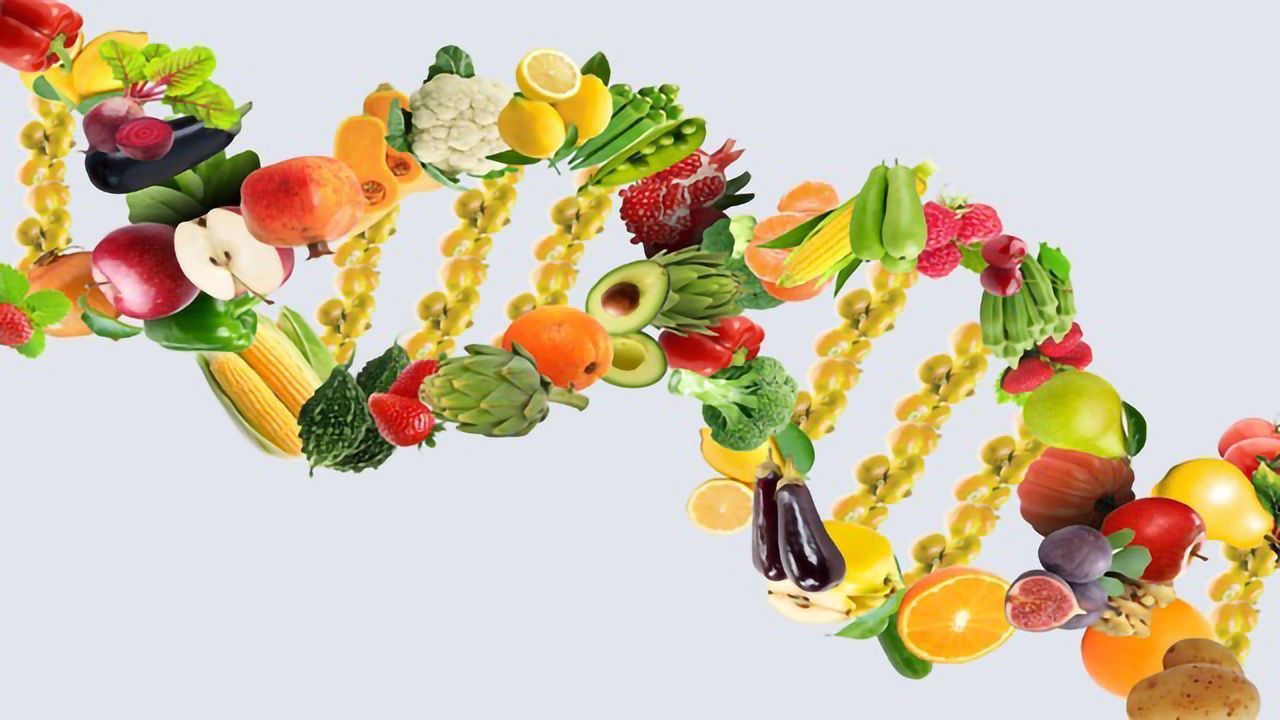 Why Do Fatty Meals Disrupt the Gut’s Communication With the Body?