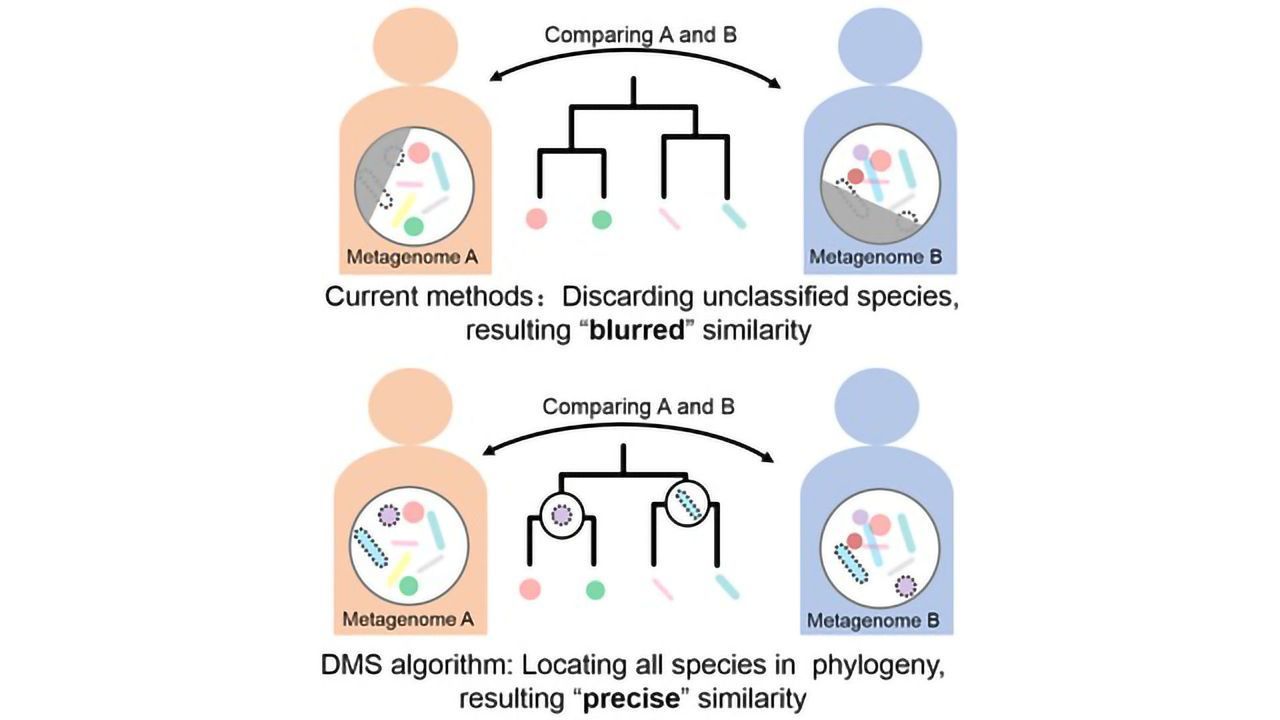 Mining Metagenomics Faster and More Efficiently