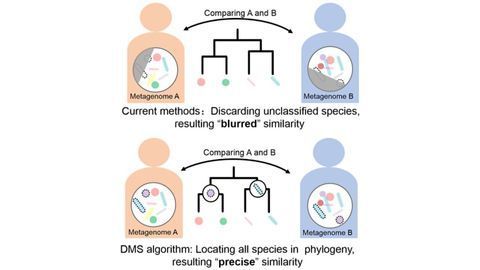Mining Metagenomics Faster and More Efficiently