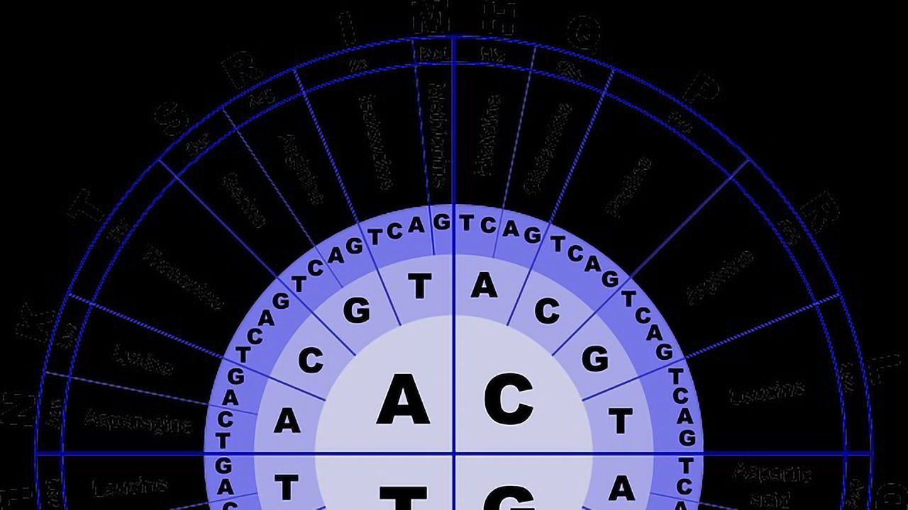 A Better Way To Differentiate Amino Acids?