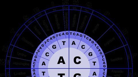 A Better Way To Differentiate Amino Acids?