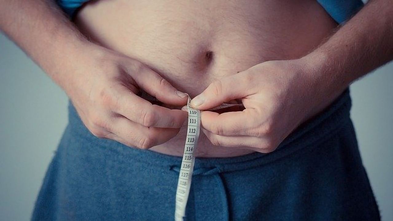 Obesity-associated Inflammation Could Be Eased by Glutamine Supplement