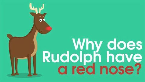 The Science of Christmas: Rudolph's Red Nose