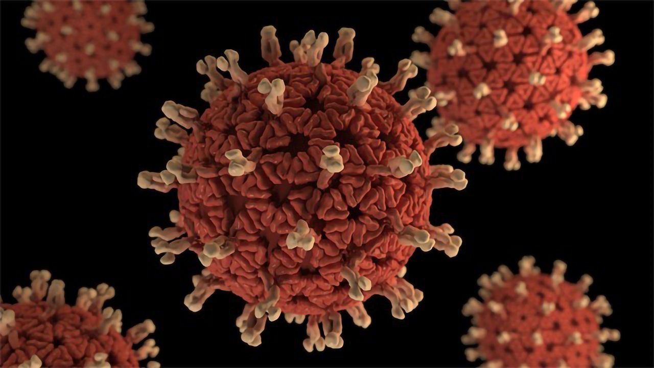 Disruption of Immune Signaling In Utero Could Impact Susceptibility to Rotavirus