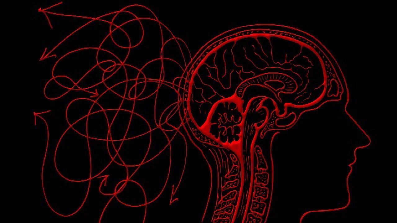 A Molecular Map of the Brain’s Decision-Making Area