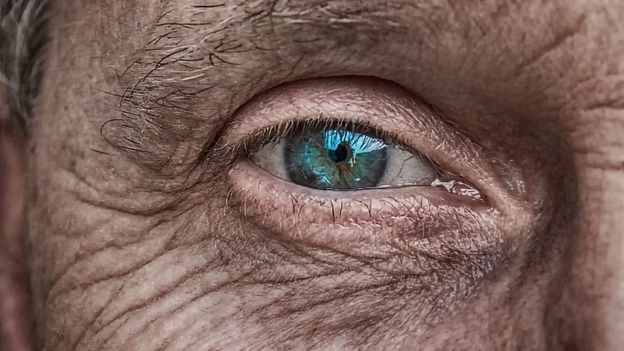 The Brain Can Combine Natural and Artificial Vision