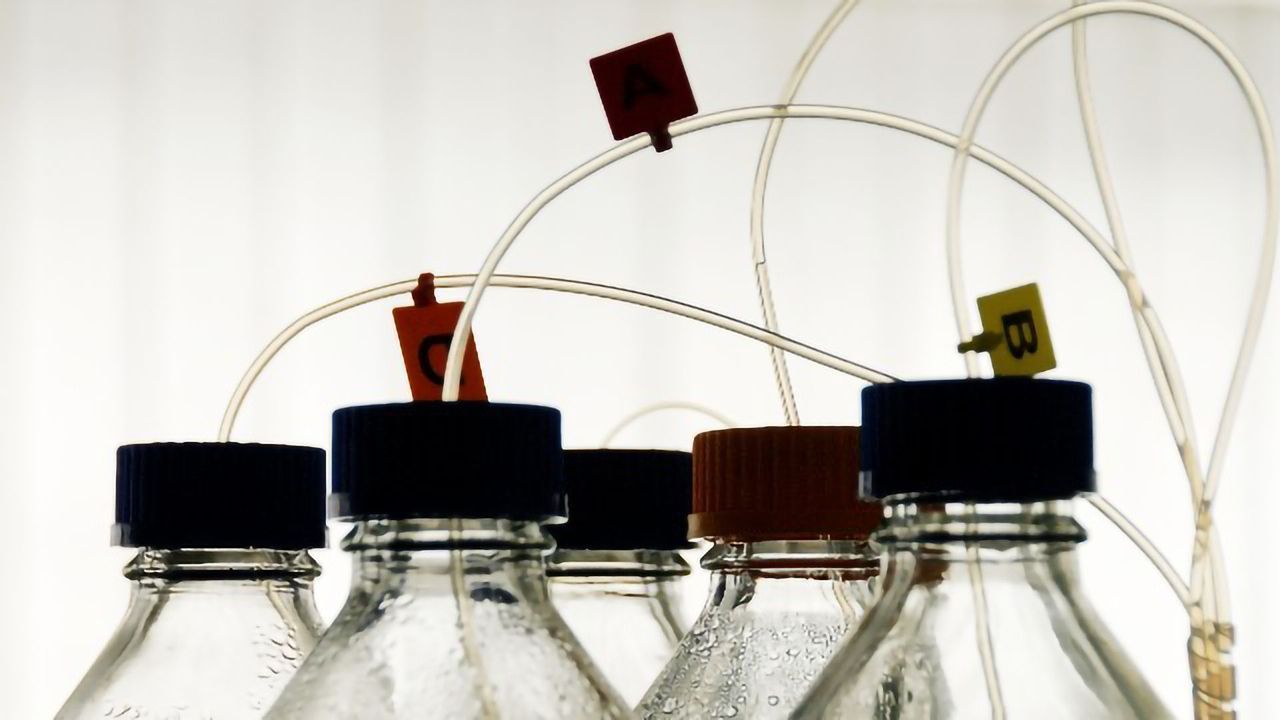 Fostering Compatibility Among Chromatography Instrumentation and Data Systems