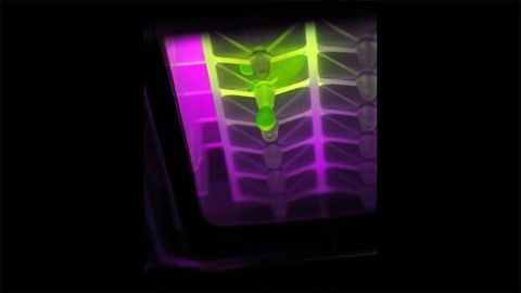 High Performance Filtration Microplates