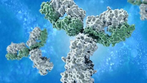 Novel Antibody Combo Destroys Tumors More Effectively