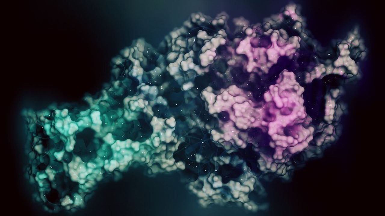 Using Protein Biomarkers Increases the Chances of Success in Clinical Trials