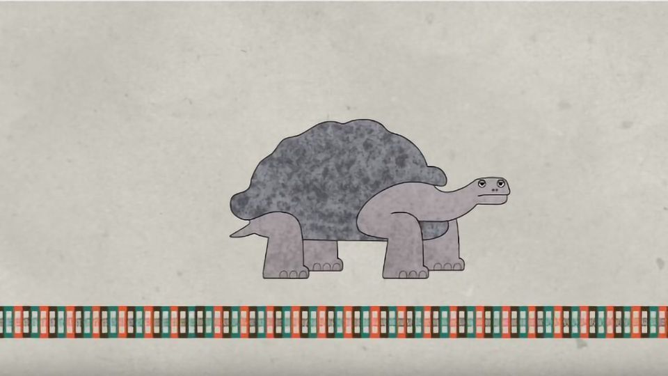 Why Do Animals Have Such Different Lifespans? content piece image