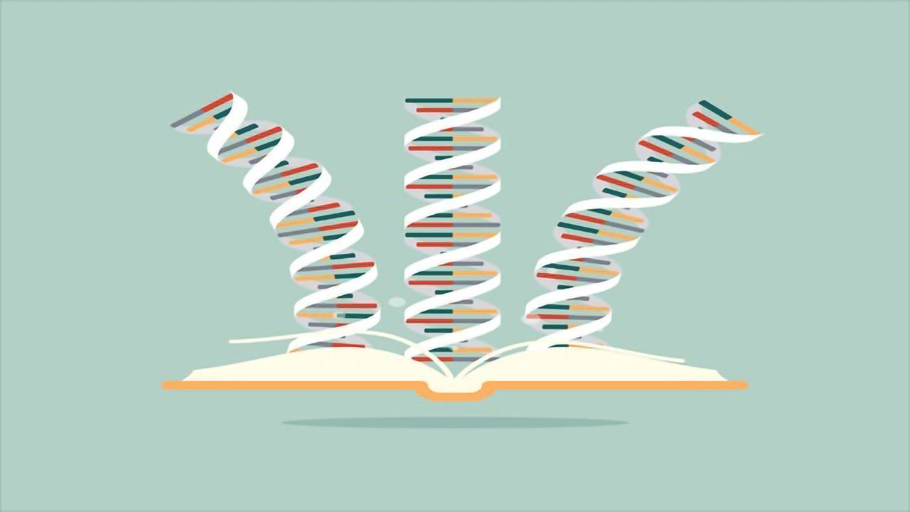 Missense, Nonsense and Frameshift Mutations: A Genetic Guide