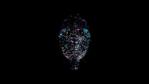 How Alcohol Addiction – and Abstinence – Remodel the Brain