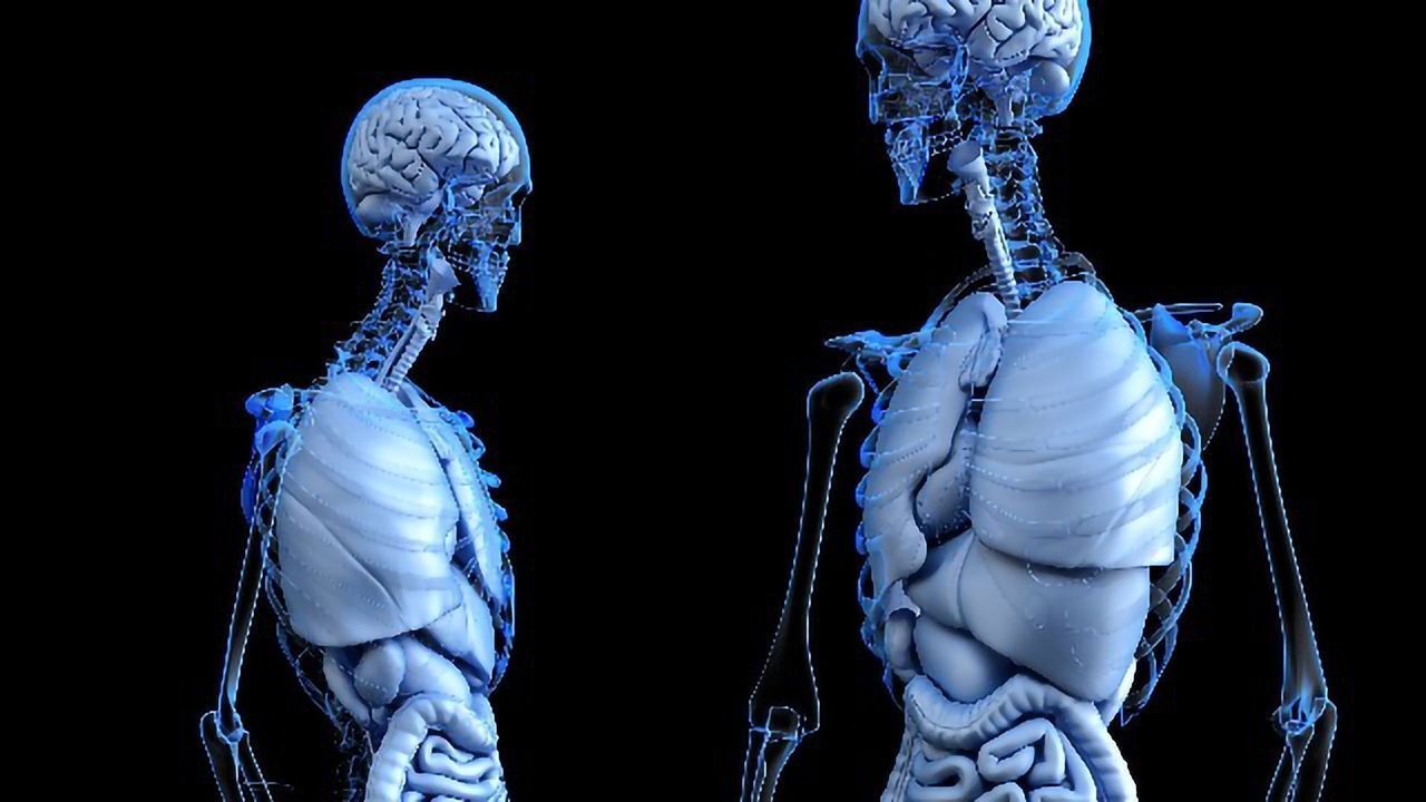 Delving Into Glycogen Storage Diseases