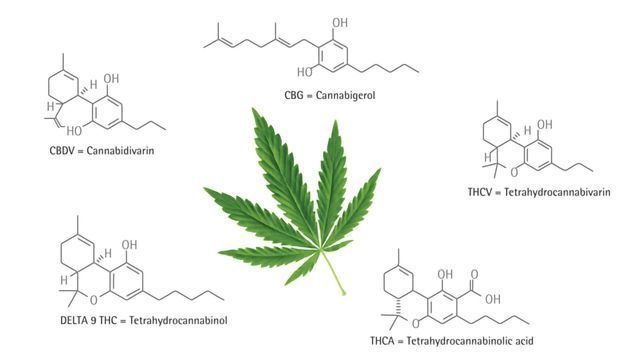 Does Syringe Filtration Impact Recovery of Cannabinoids Prior to Potency Testing? content piece image 