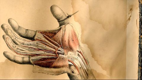 Biodegradable Nerve Guide Helps Regenerate Damaged Nerves