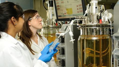 Facilitating Cell Culture Growth and Protecting Protein Integrity