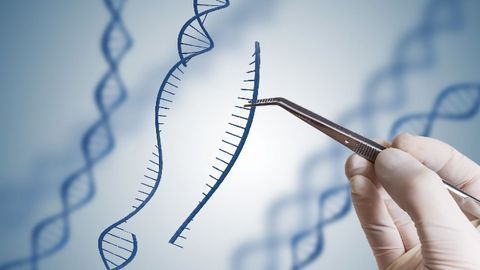 Gene Therapy Protects Eyesight in Models of Multiple Sclerosis