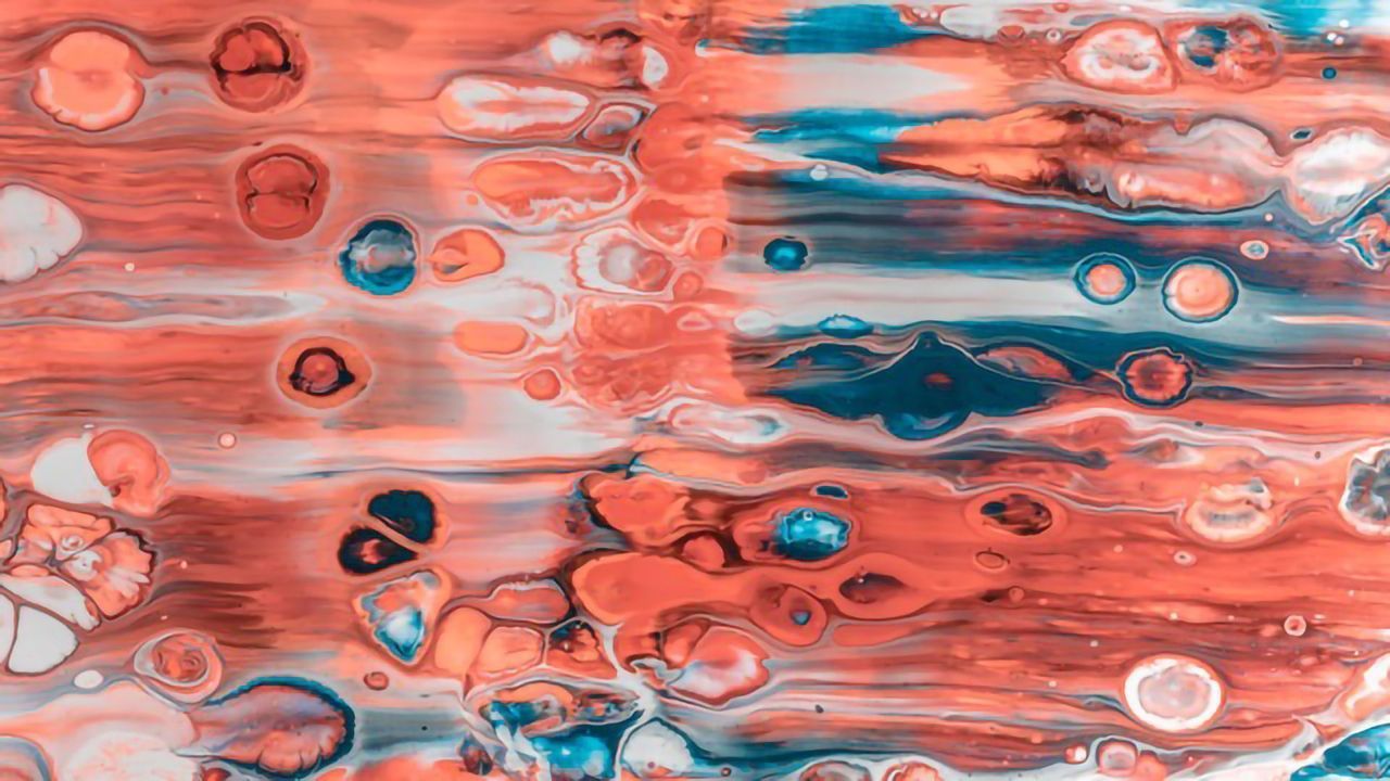 Through the Art of Proteomics, Scientists Paint a Portrait of the Mouse Uterus