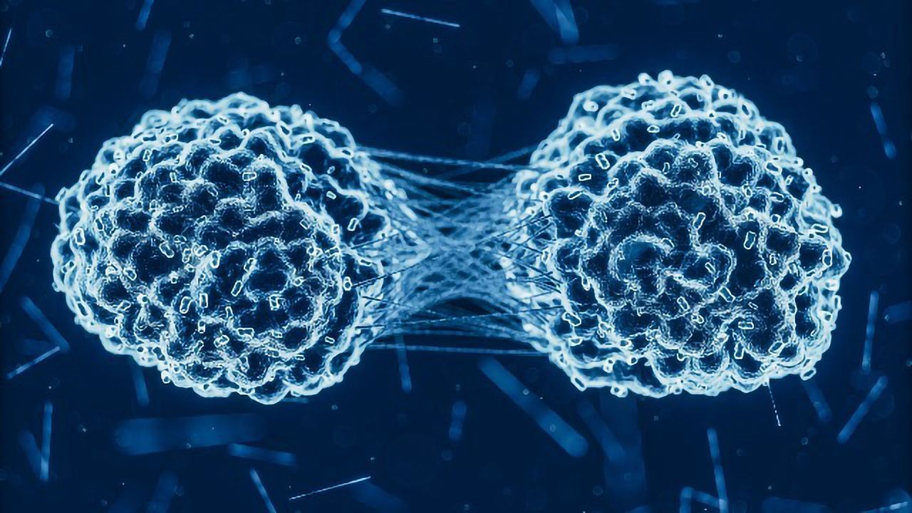 Metabolic Vulnerability Could Inspire New Pancreatic Cancer Treatments