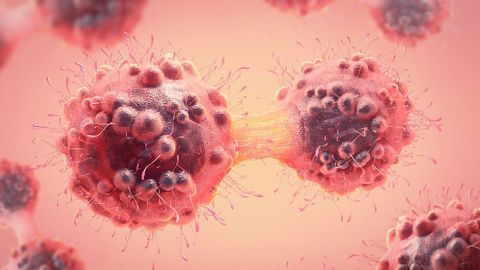 TMAC Cancer Therapy Platform Demonstrates Successful Proof-of-concept