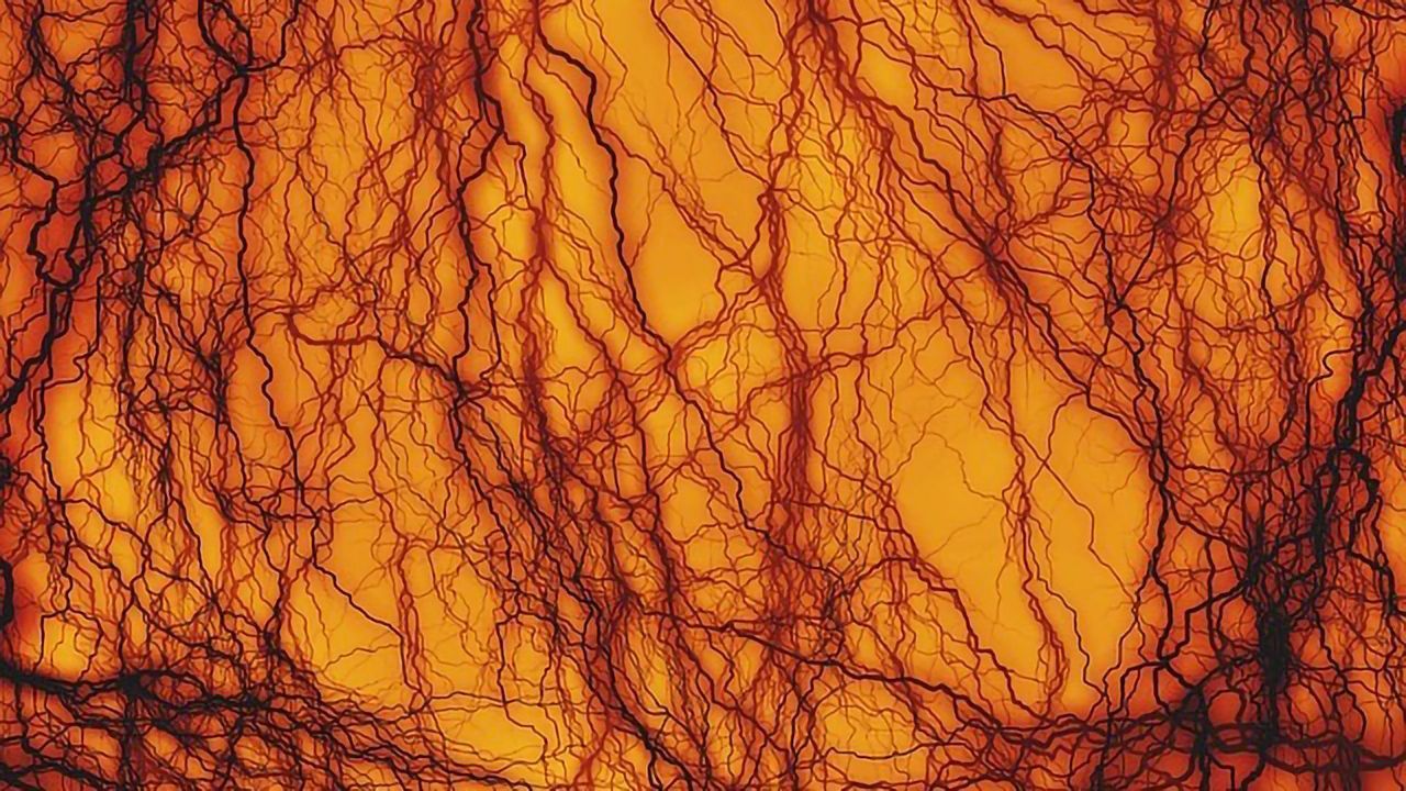 Making Molecular Maps of Tissue