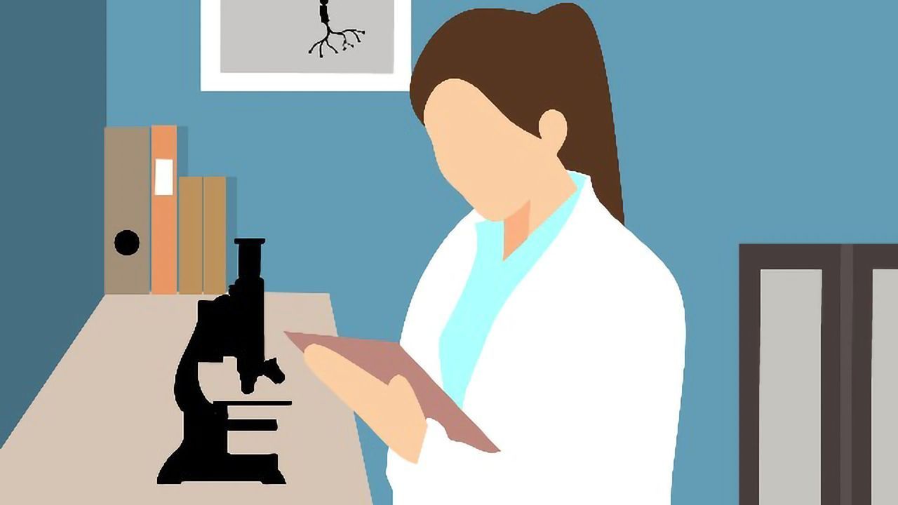 Becoming a Successful Leader in the Life Sciences: An Interview With Karin Schmitt PhD