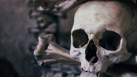 Skull Analysis Reveals Diversity of Early Settlers