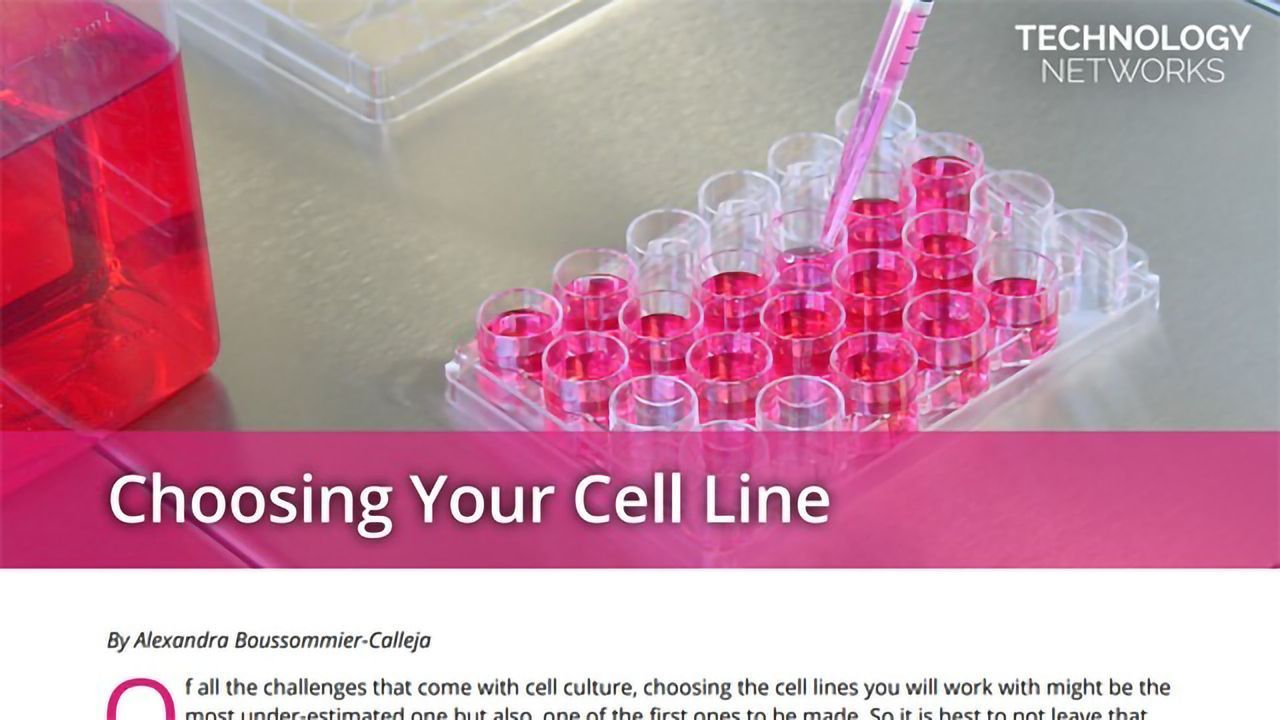 Choosing Your Cell Line