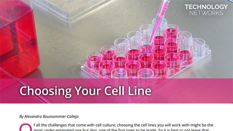 Choosing Your Cell Line Technology Networks