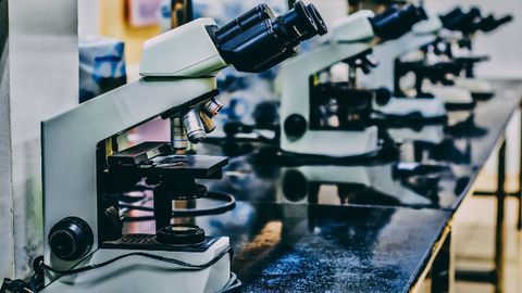 "Human Algorithm" Interprets Data Like a Researcher