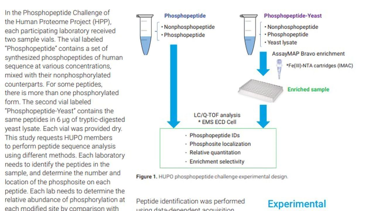A Novel, Highly Selective Phosphopeptide Enrichment for Identification and Localization