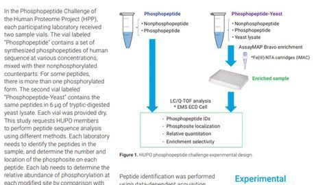 A Novel, Highly Selective Phosphopeptide Enrichment for Identification and Localization