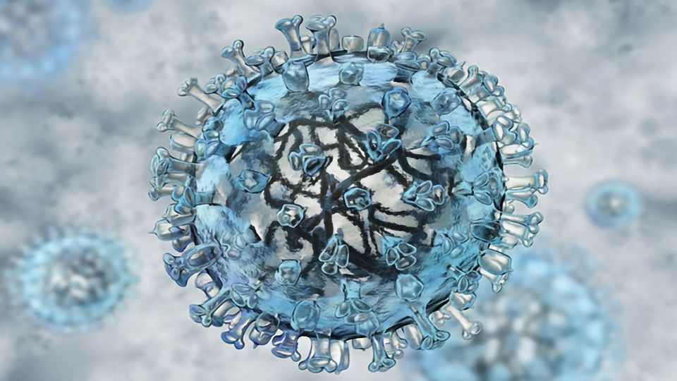 Wuhan Coronavirus Receptor Similar to SARS Virus content piece image