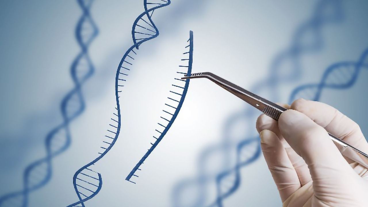 Applications of CRISPR Technology